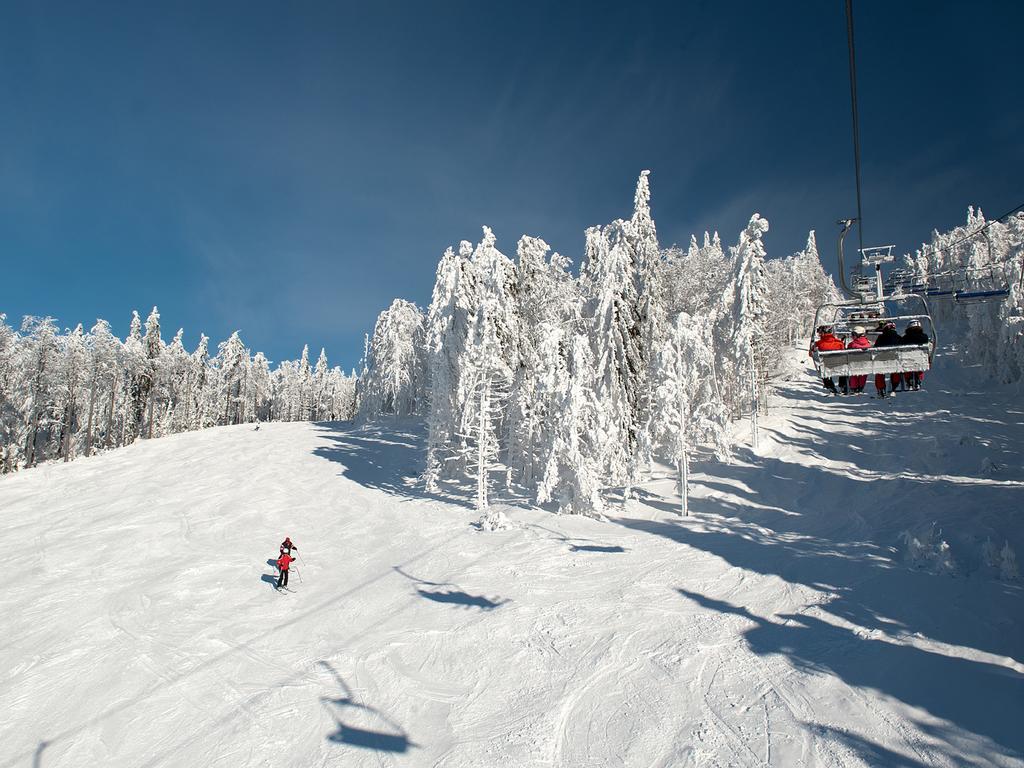 Apartmány Lipno Horní Planá Exterior foto